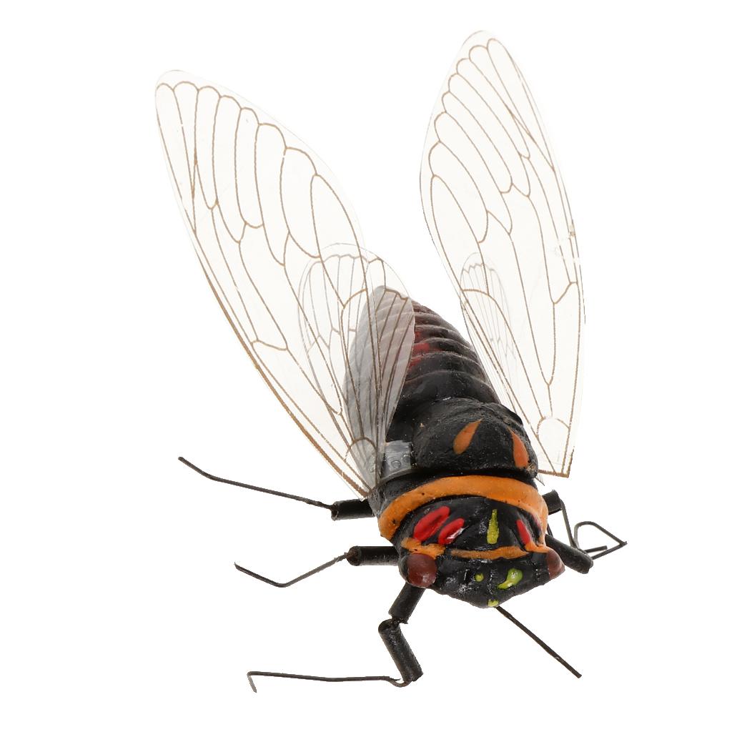 2X Clay Insect Model Fridge Ma - Art Craft Magnet 리뷰 및 가격