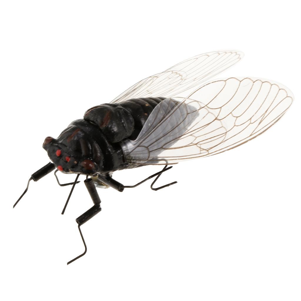 2X Clay Insect Model Fridge Ma - Art Craft Magnet 리뷰 및 가격