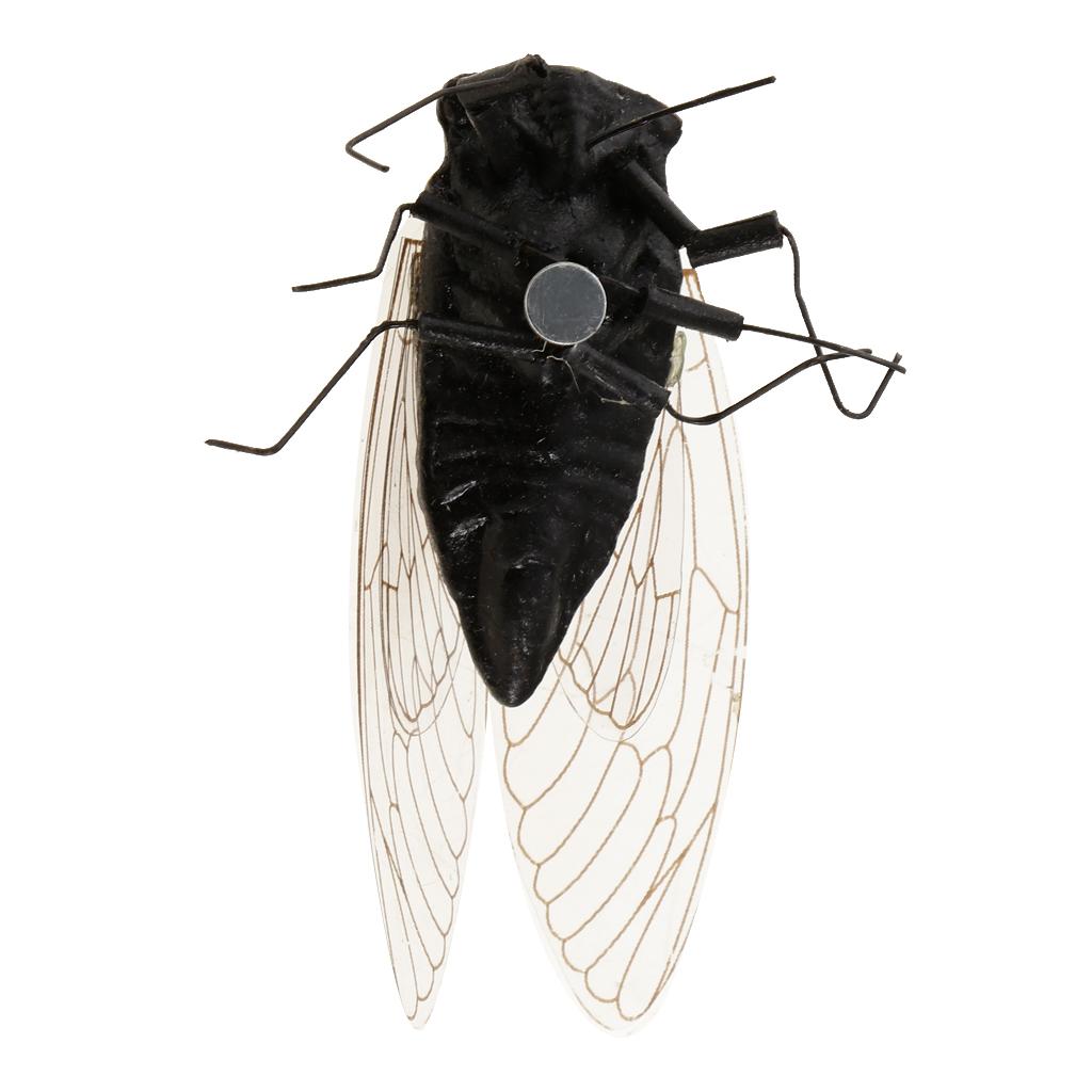 2X Clay Insect Model Fridge Ma - Art Craft Magnet 리뷰 및 가격
