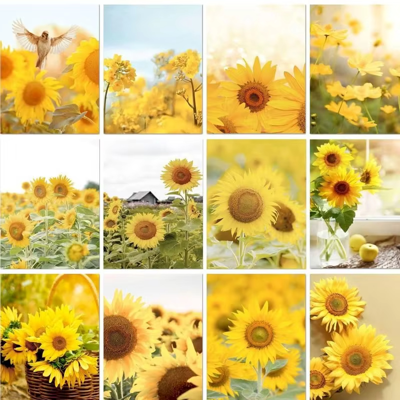 Without Frame Modern Painting  - Art Craft Game 리뷰 및 가격