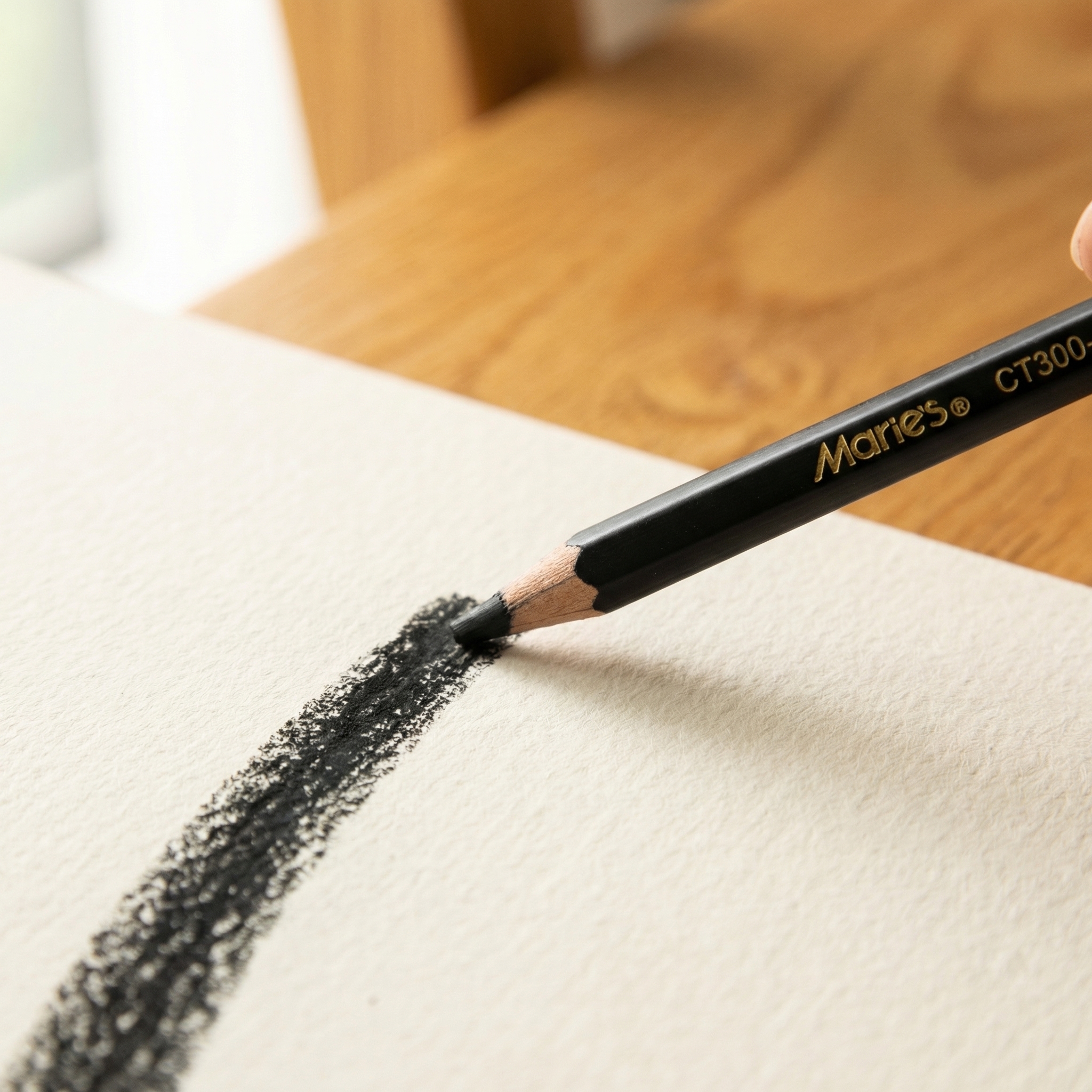 Marie's 12pcs Charcoal Pencils - Sketching Charcoal Set 리뷰 및 가격